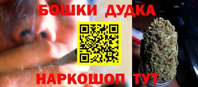 стаф Берёзовский