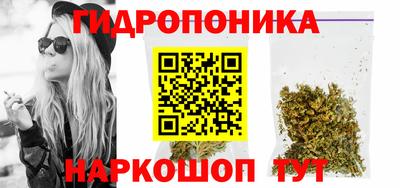 стаф Берёзовский