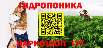 стаф Берёзовский