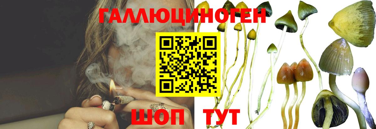 Галлюциногенные грибы MAGIC MUSHROOMS  наркота  Кирово-Чепецк  Вход с VPN 